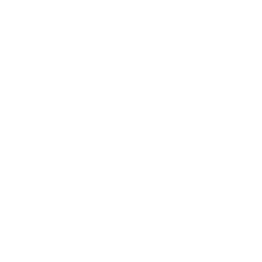 현대 엠블렘